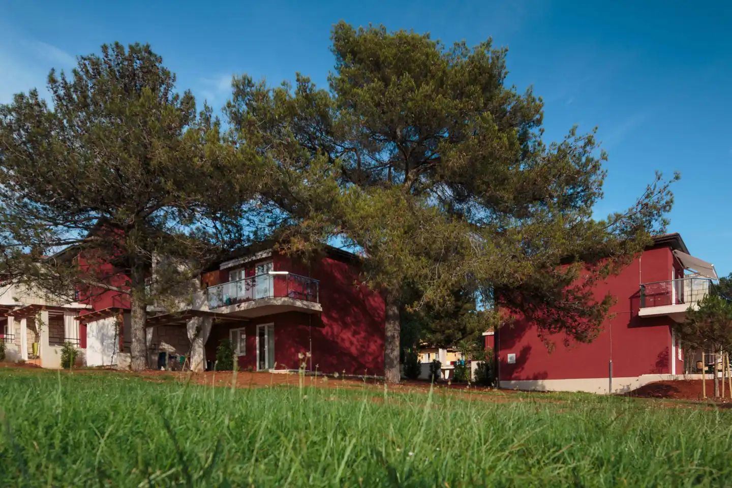 Apartments Katoro for Plava Laguna Aussenansicht