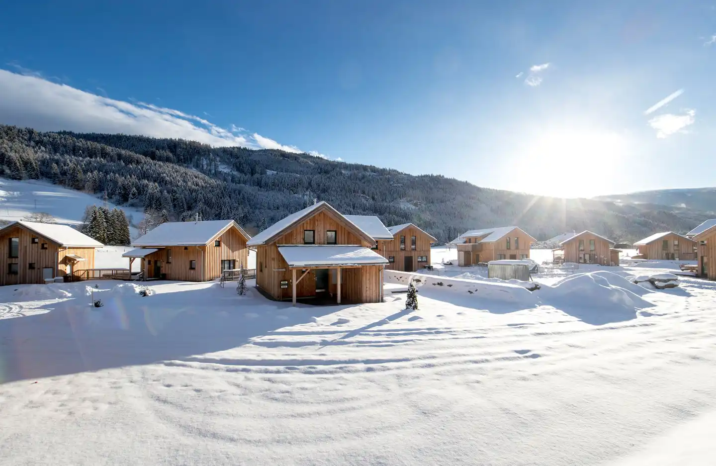 Feriendorf Murau by ALPS RESORTS Pool