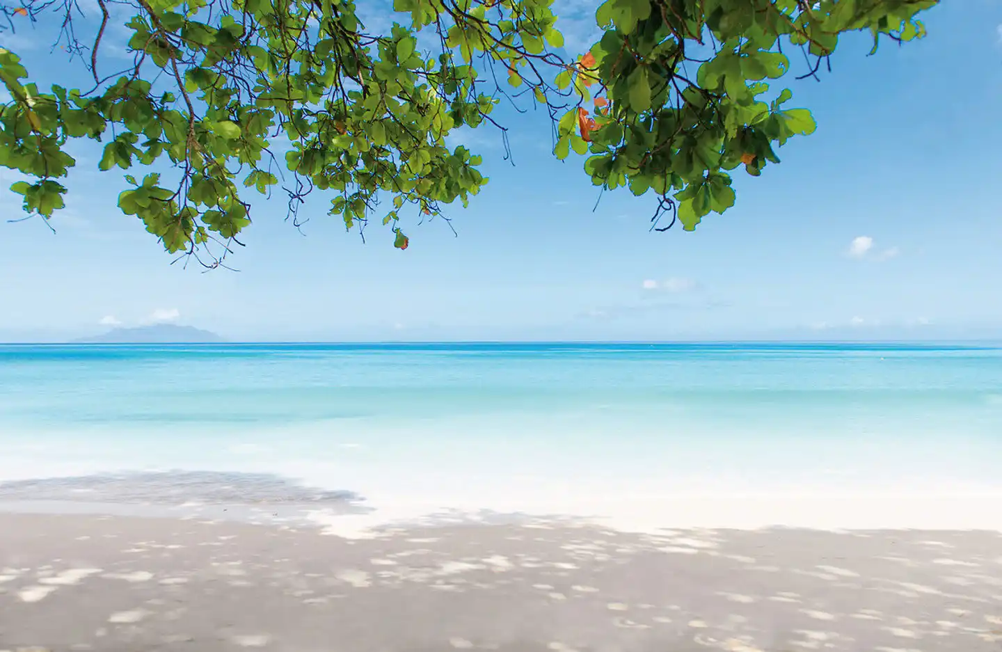 STORY Seychelles Strand