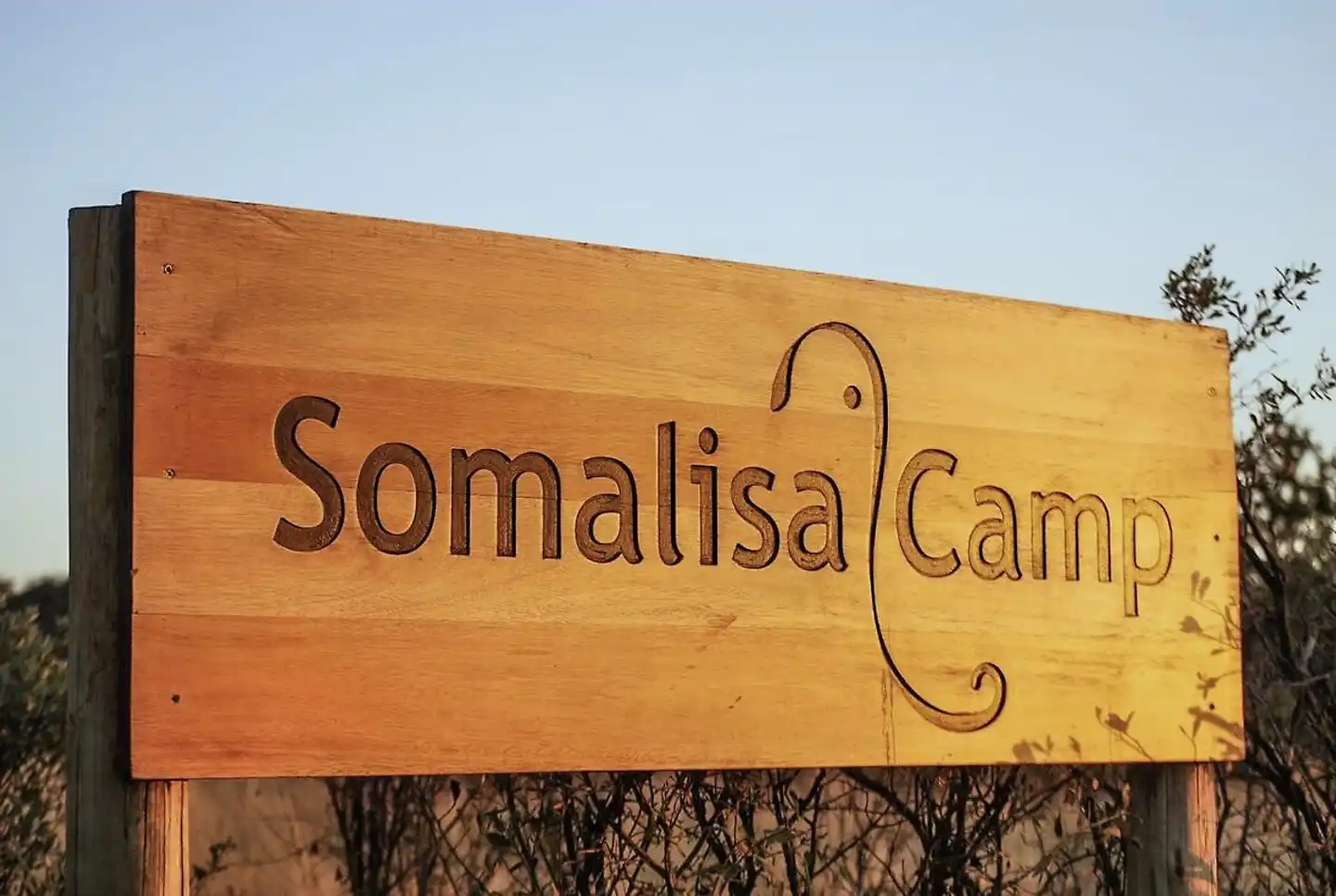 Somalisa Camp Tiere