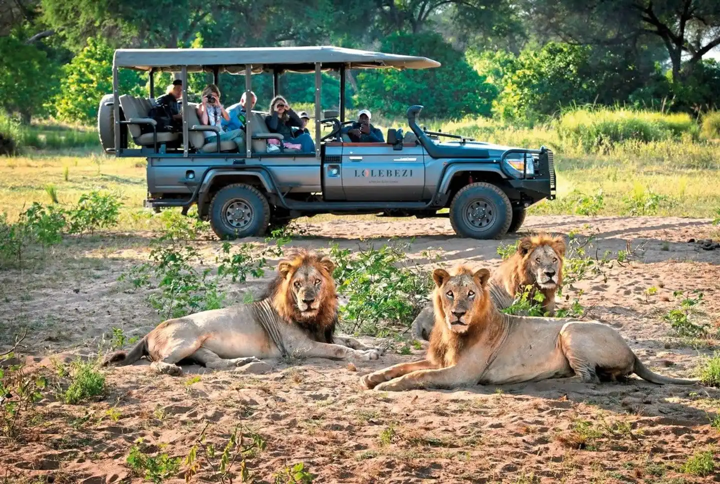 Lolebezi Tiere