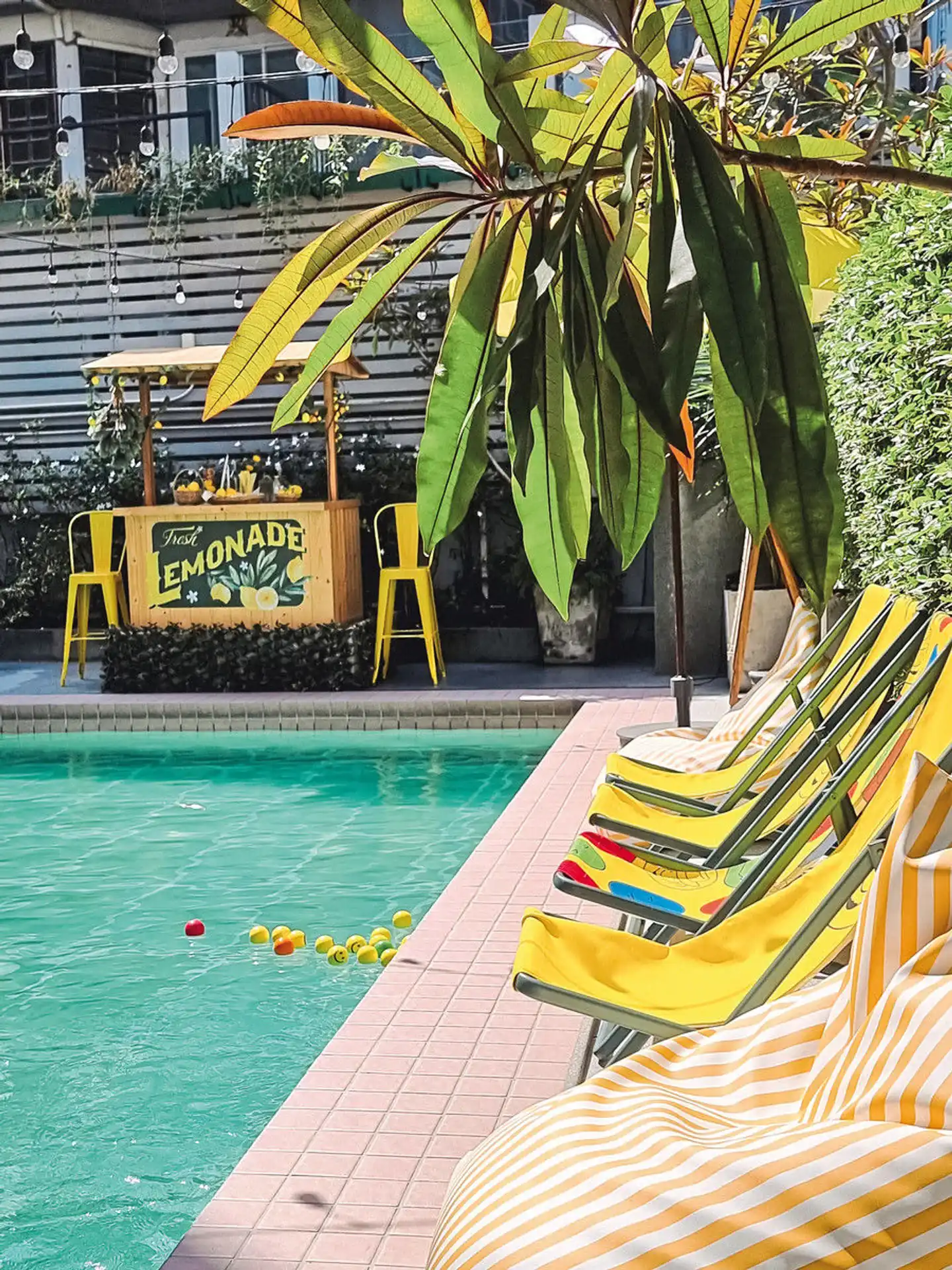 Josh Hotel Pool