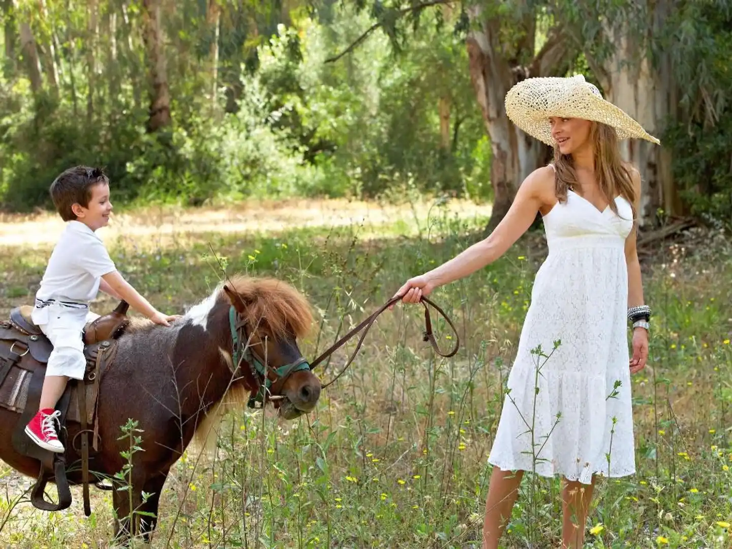 Grecotel LuxMe Palms Tiere