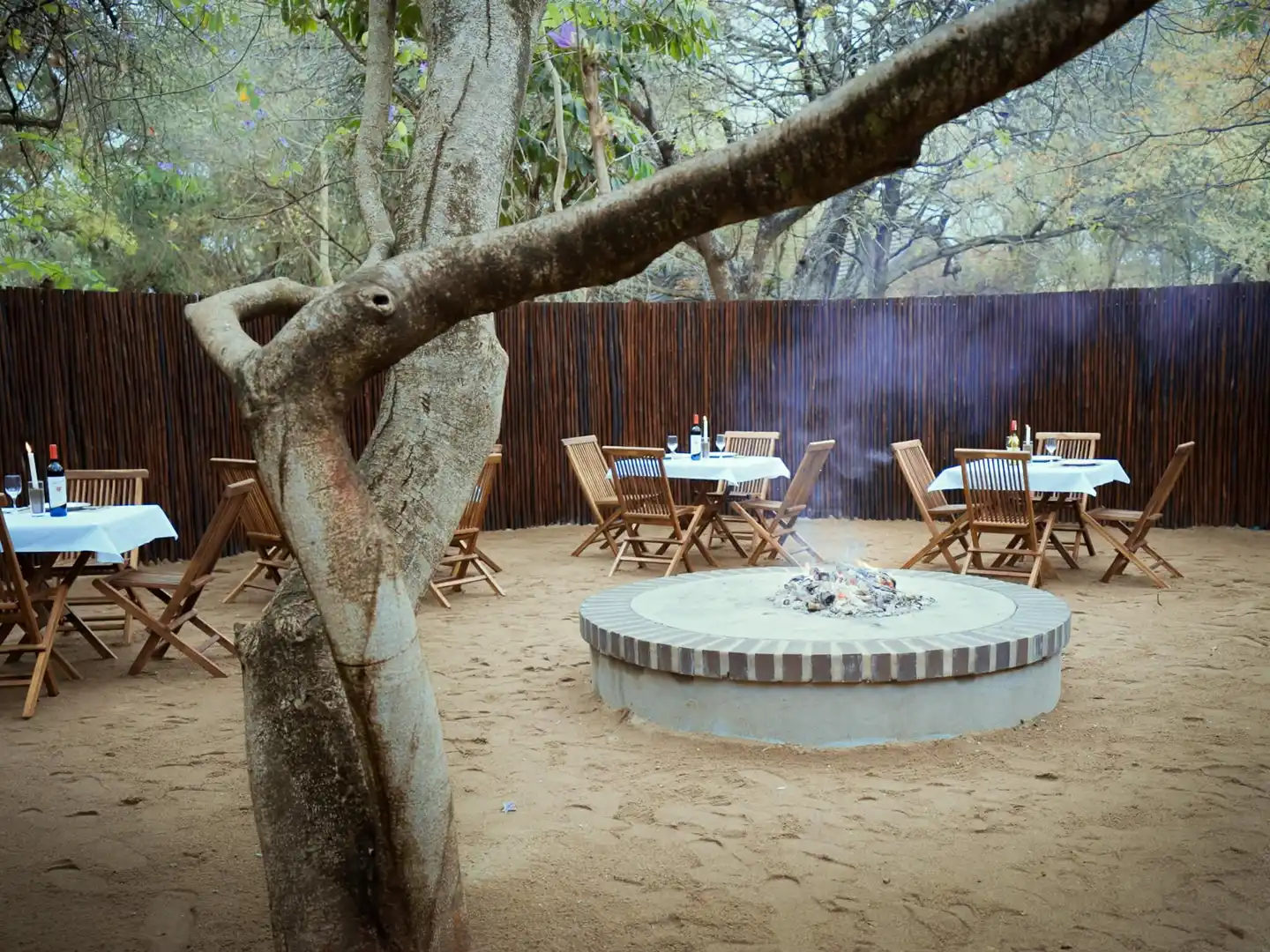 Kruger Eden Lodge Tiere