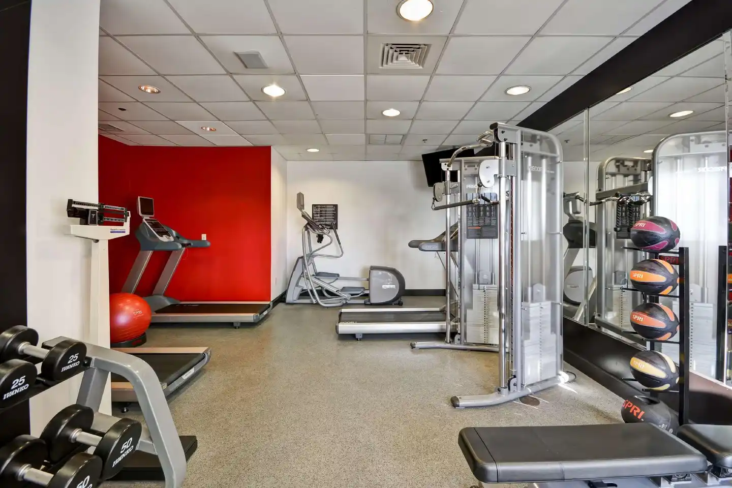 Hilton Garden Inn Sarasota-Bradenton Airport Sport und Entertainment