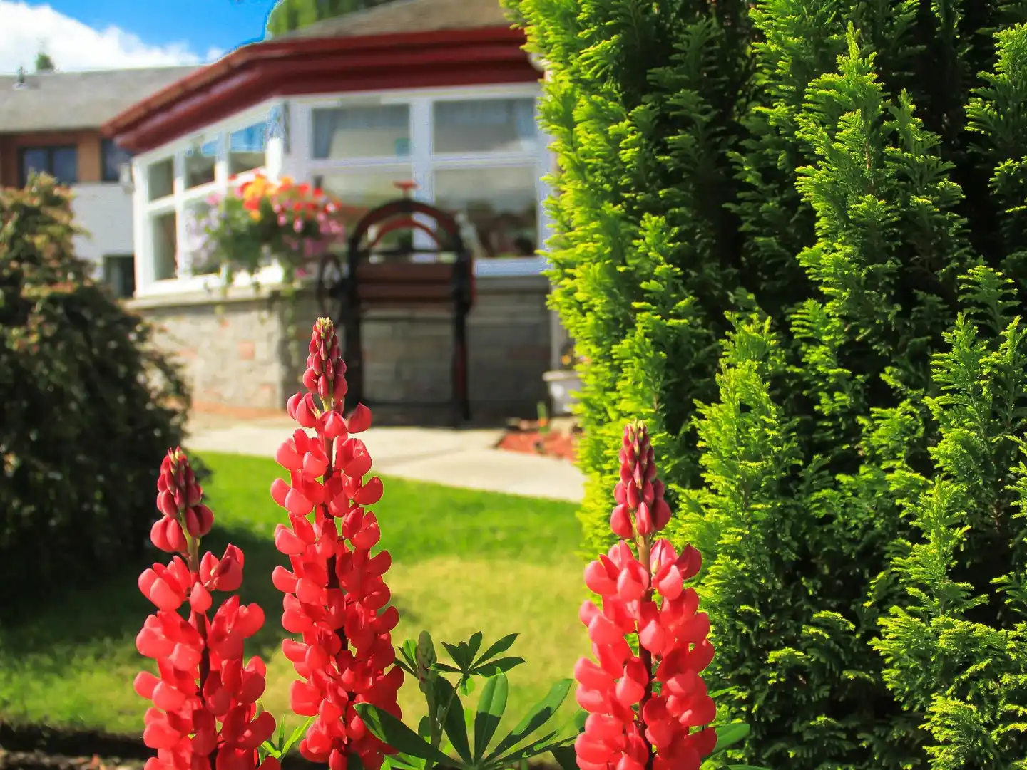 Atholl Villa Guest House Garten