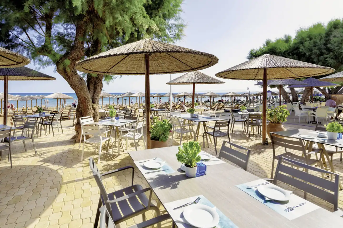 Atlantica Amalthia Beach Resort Terrasse
