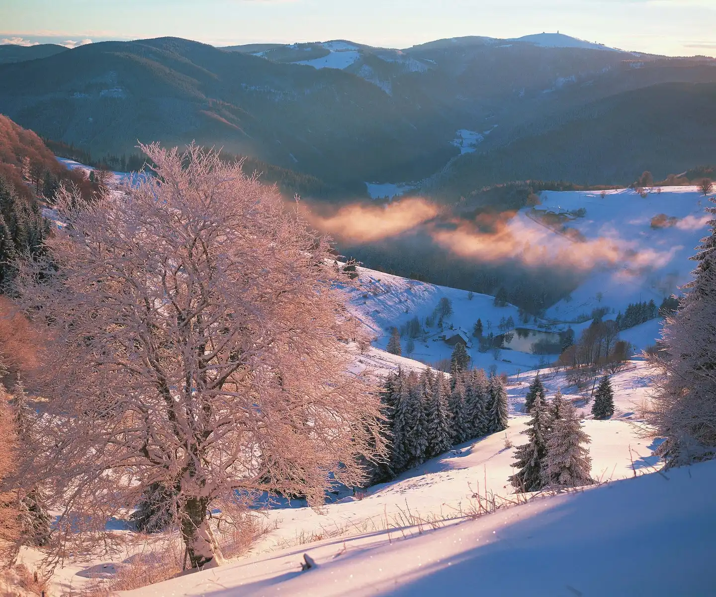 Hotel Hofgut Sternen - Sure Hotel Collection by Best Western Landschaft