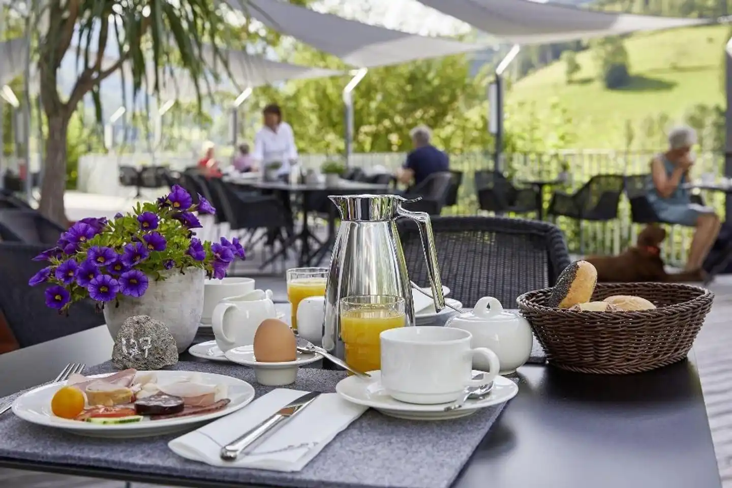 ElzLand Hotel Pfauen WELLNESS, SPA & VITALIS HOTEL Restaurant