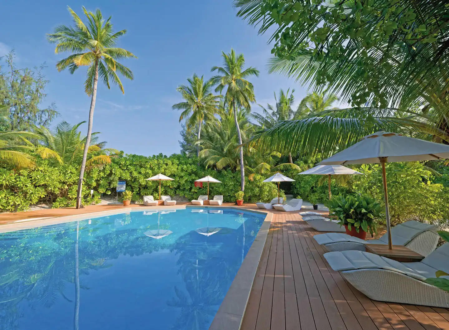 Safari Island Resort & Spa Pool