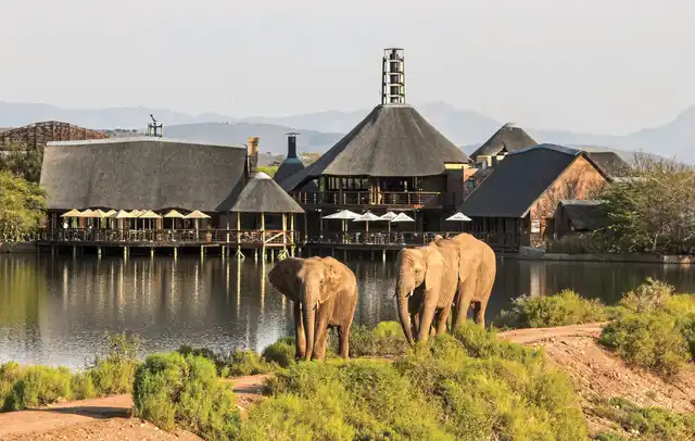 Buffelsdrift Game Lodge Tiere