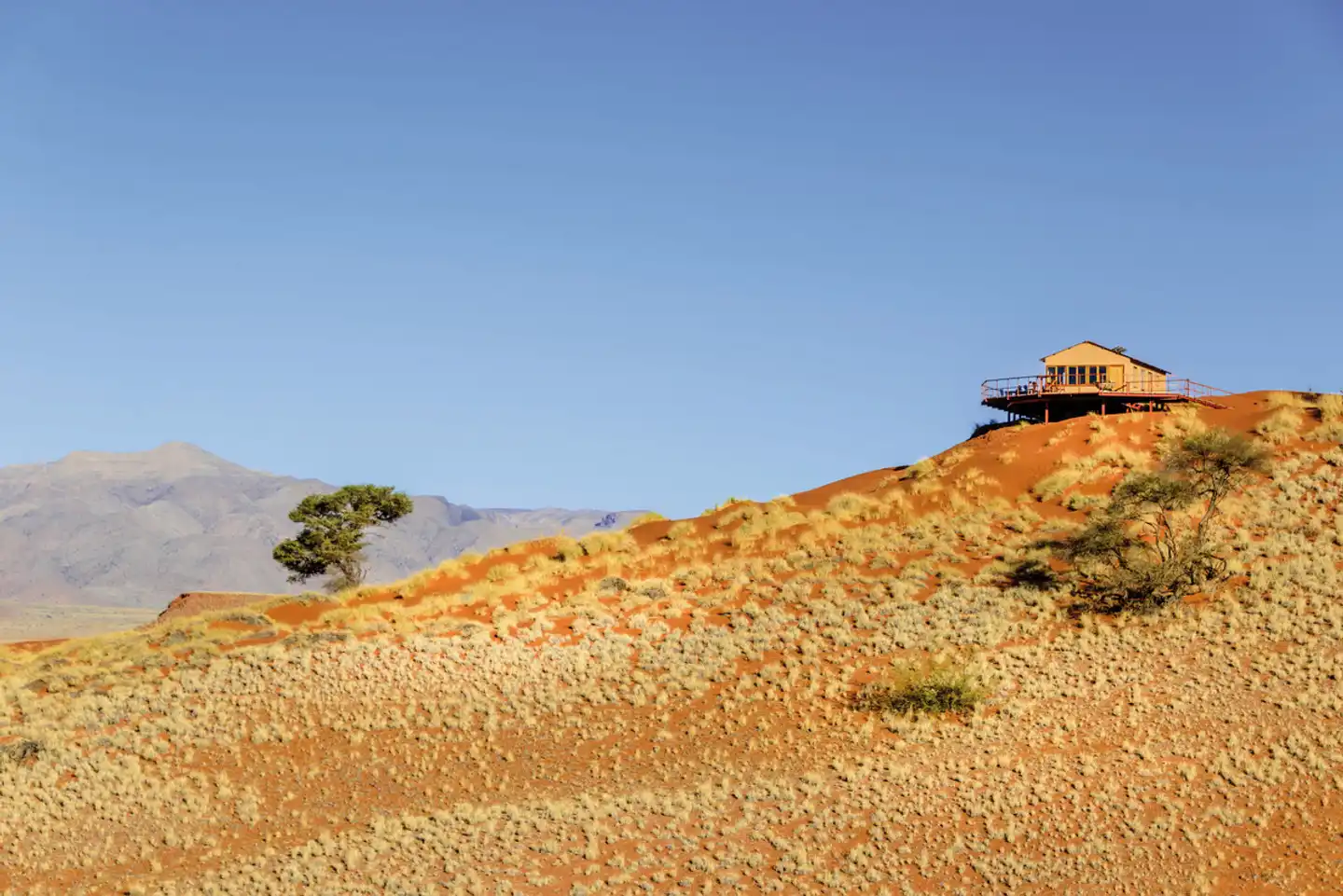 Namib Dune Star Camp Landschaft