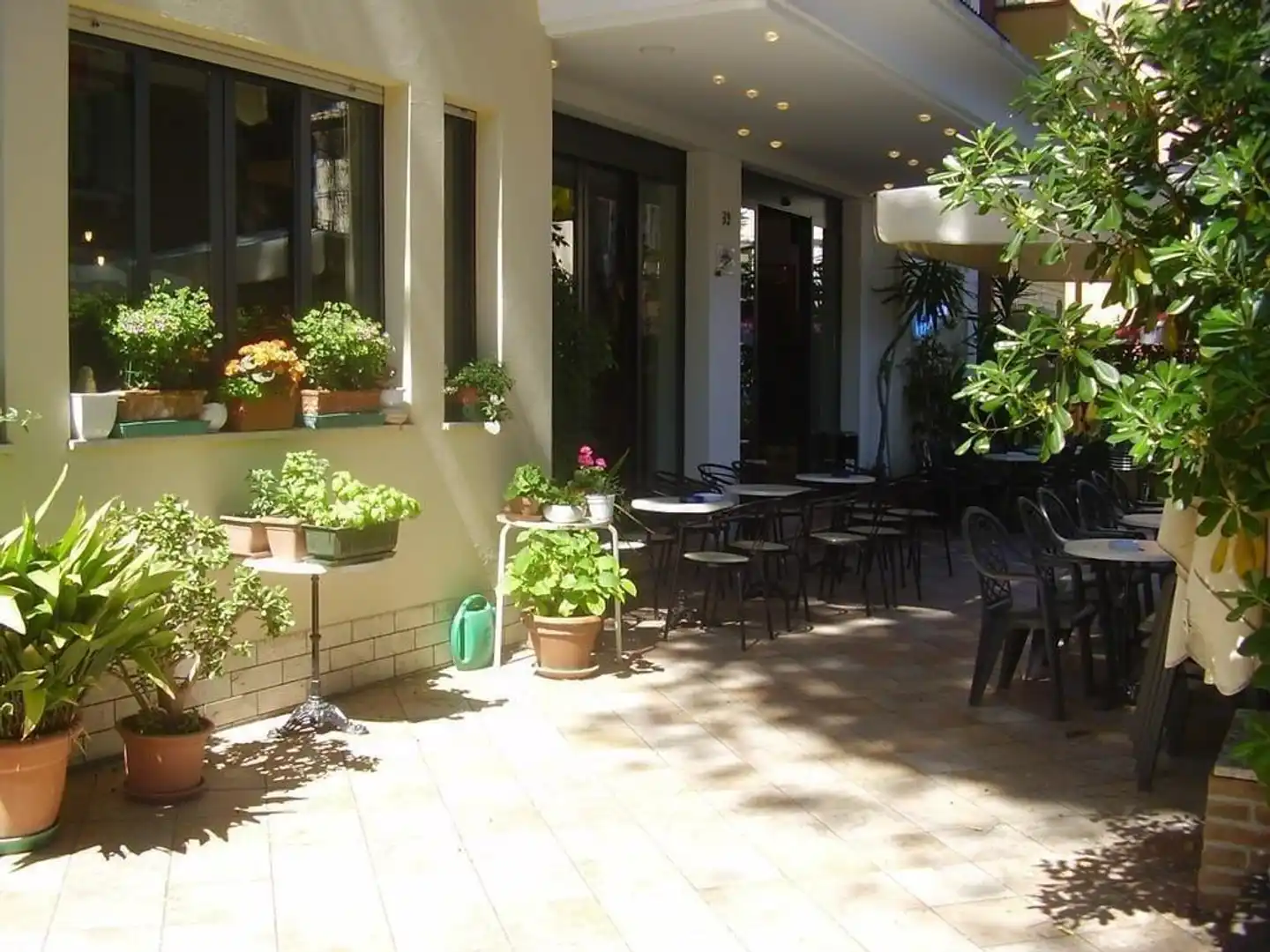 Cortina Lobby