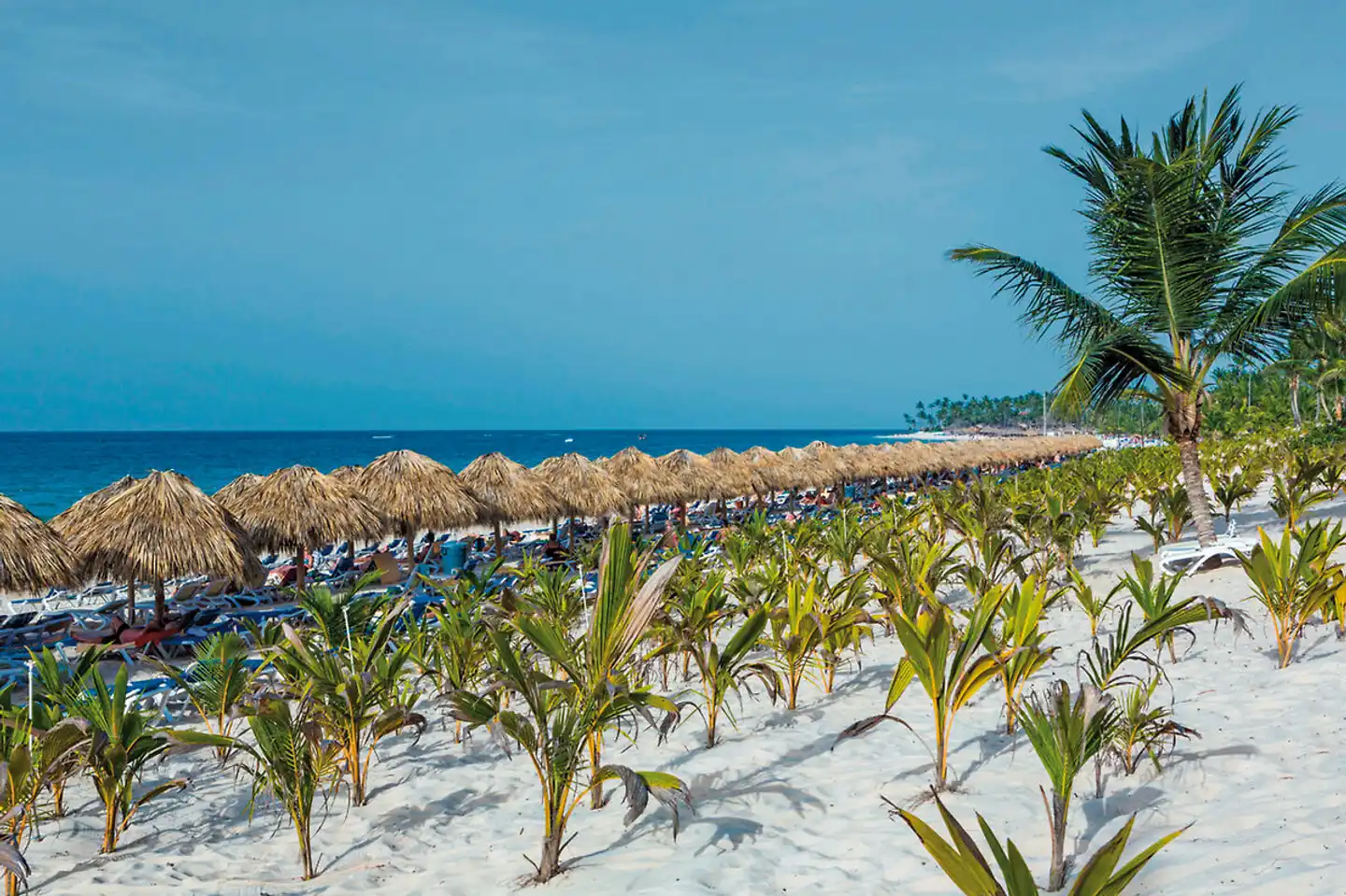 Riu Republica Strand