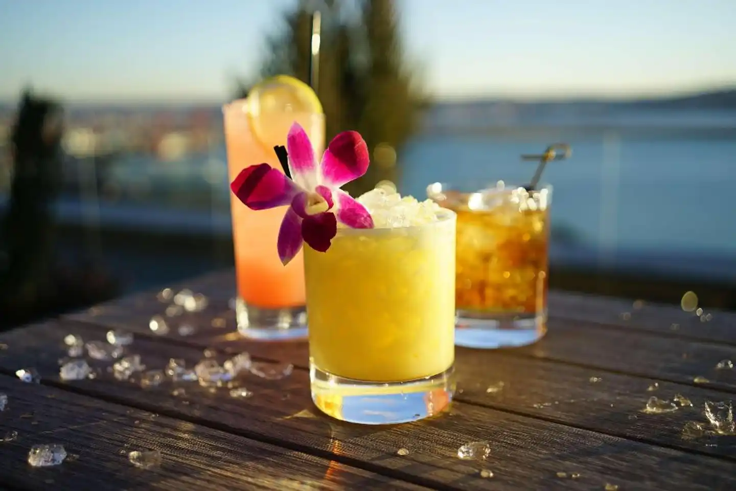 Thompson Seattle Hotel Tiere