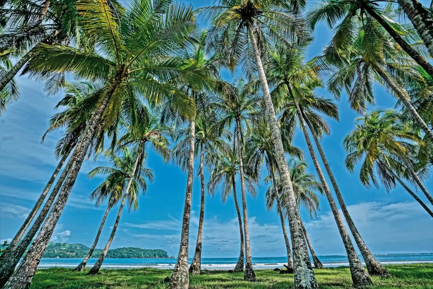 Nammbú Beachfront Bungalows Garten
