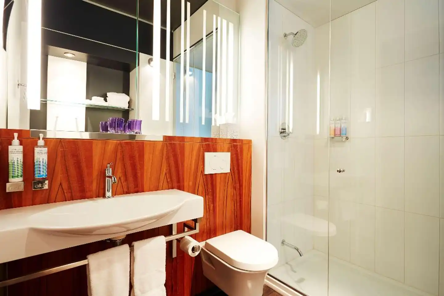 Alt Hotel Ottawa Badezimmer