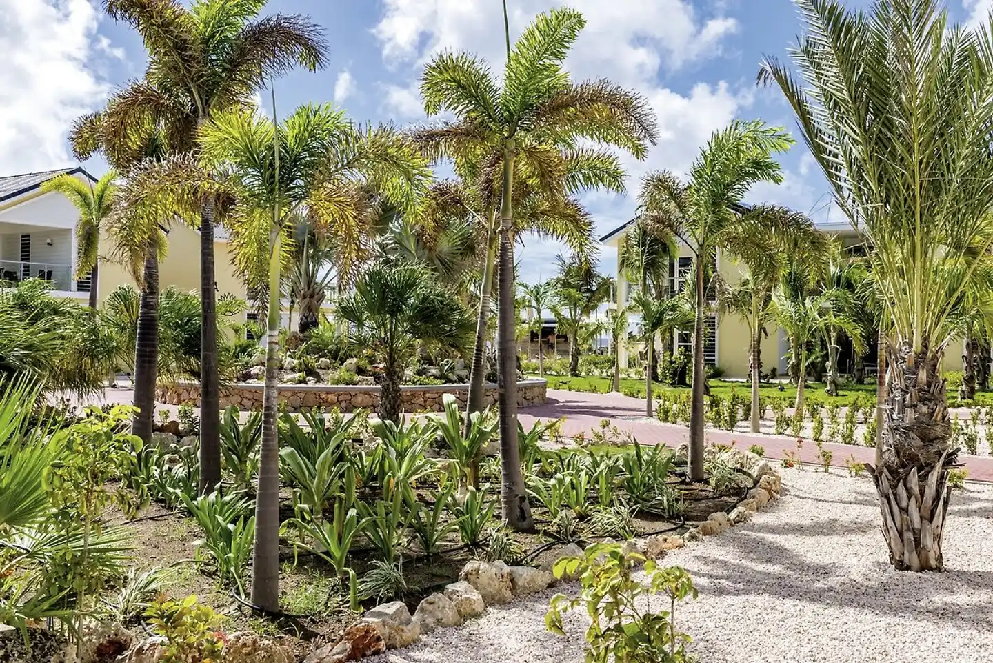 Delfins Beach Resort Bonaire, Tapestry Collection by Hilton Garten