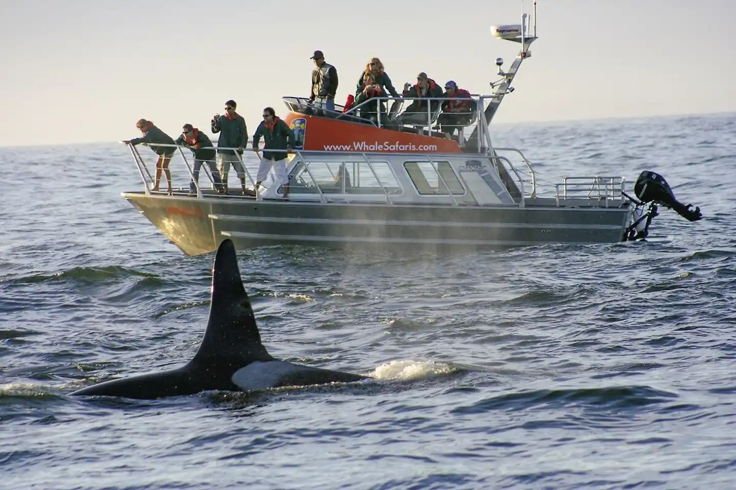 Tofino Harbour House Sport und Entertainment