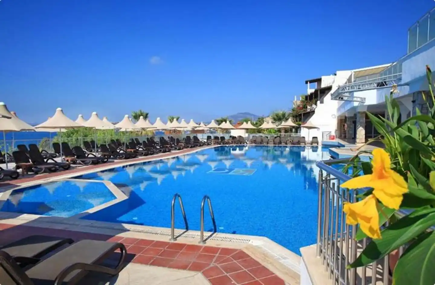 Forever Club Pool