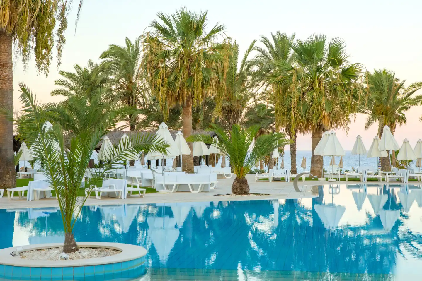Venus Beach Hotel Pool