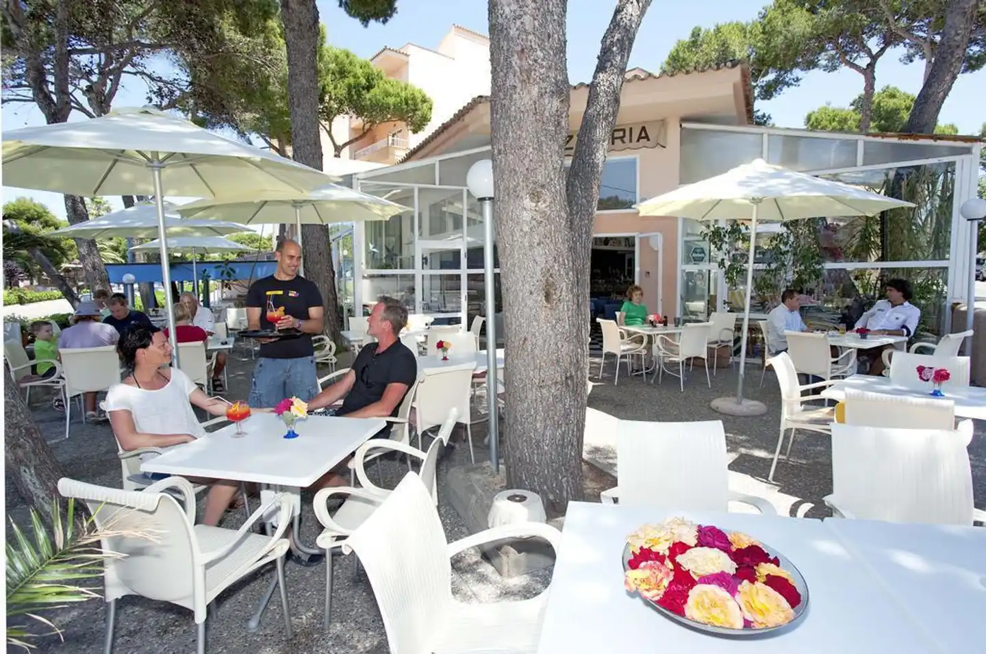 Hostal Alcina Terrasse