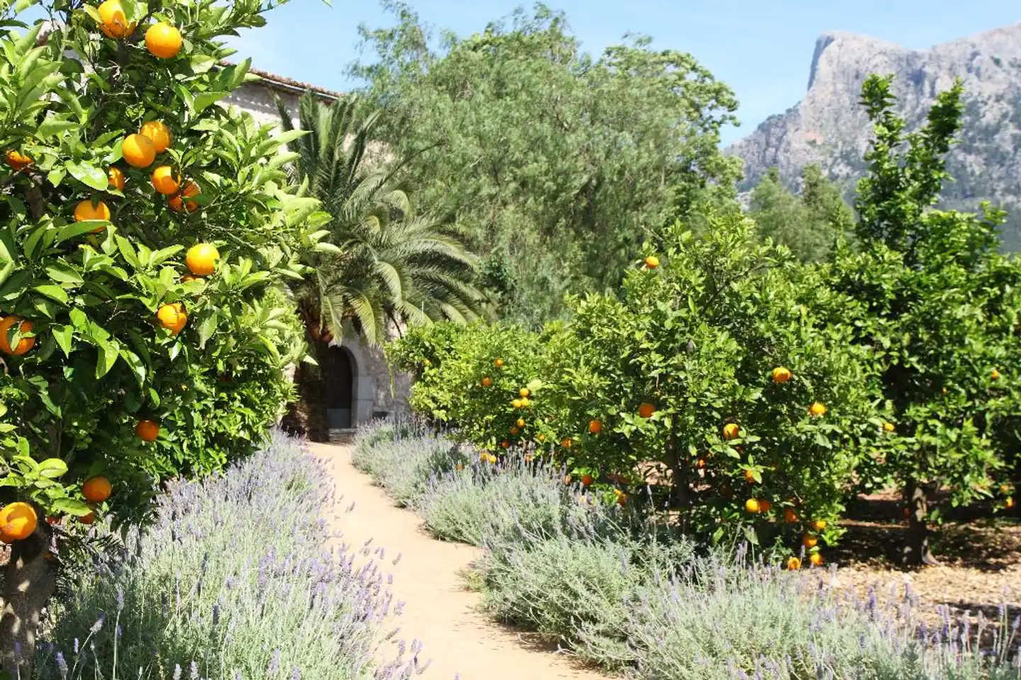 Finca Ca's Curial Garten