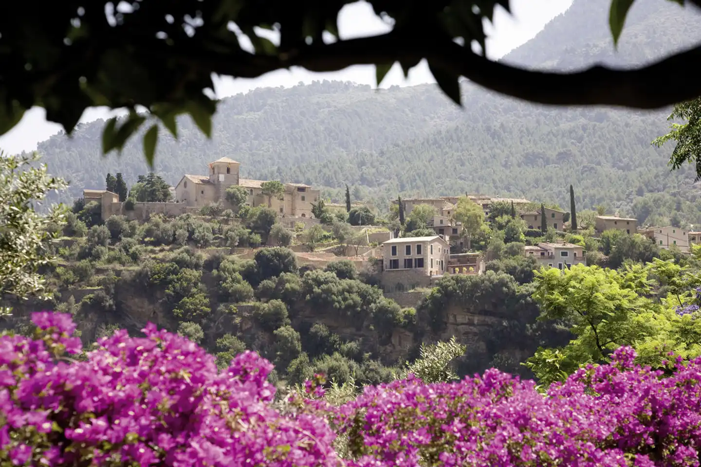 Es Moli Landschaft