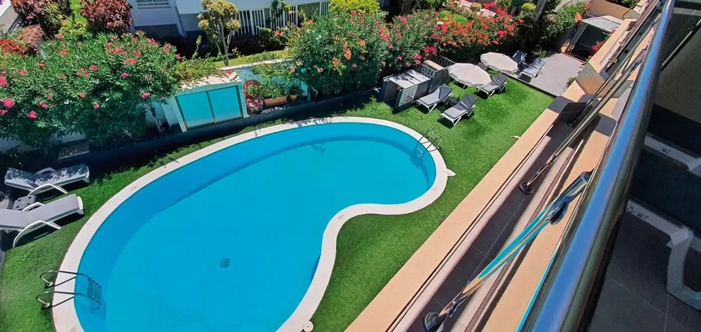 Don Palomón Pool