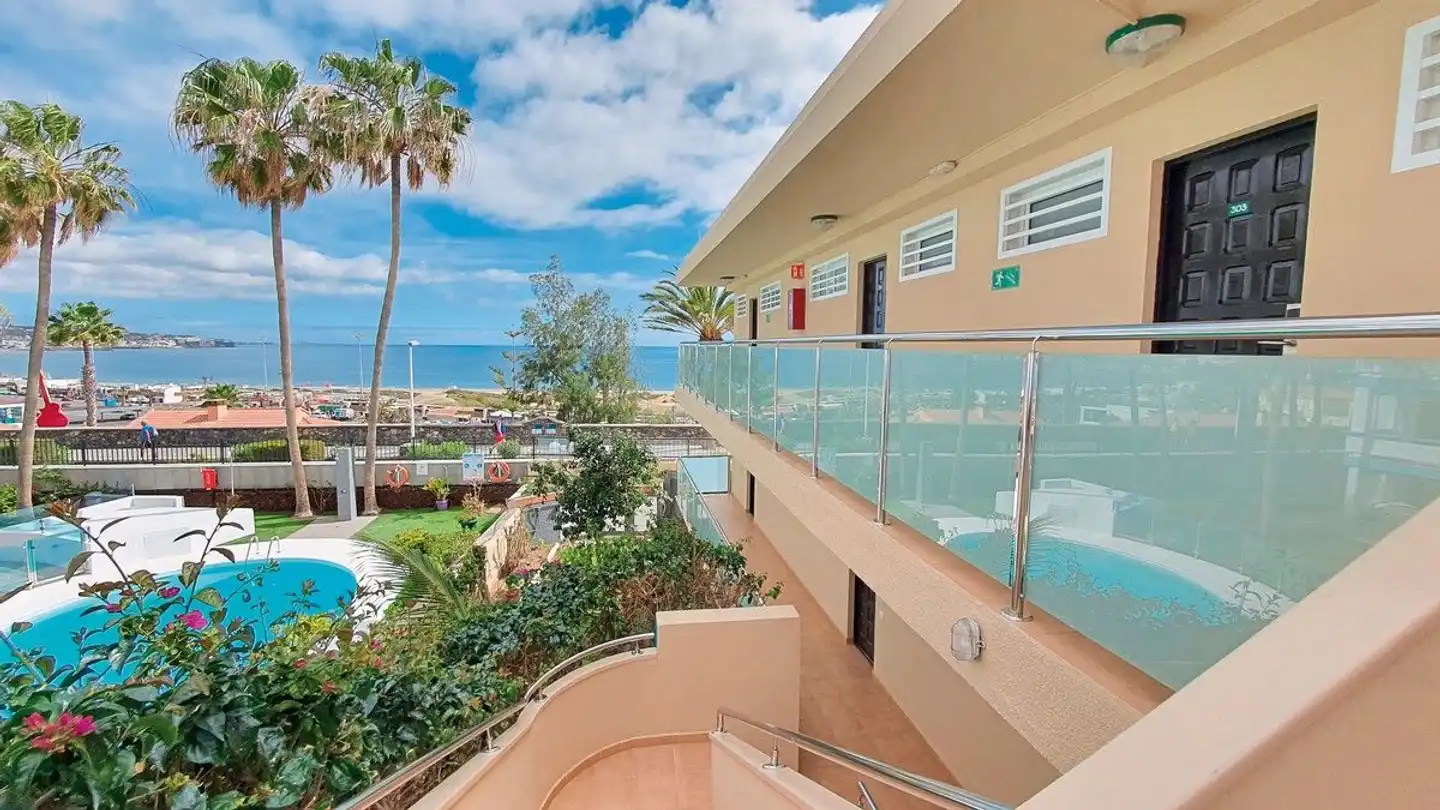 Don Palomón Pool