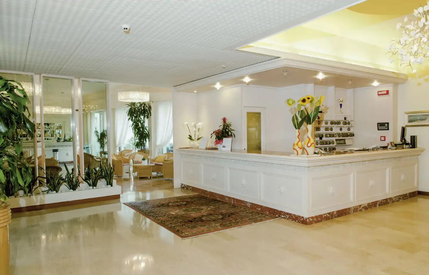 Doge Lobby