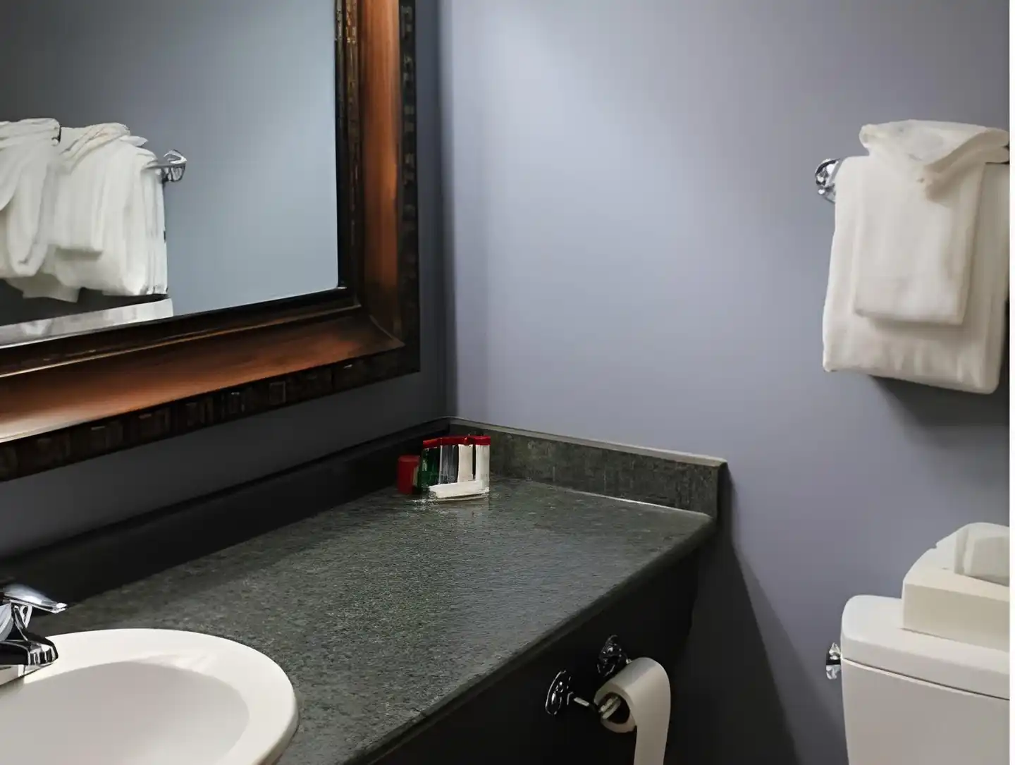 QUALITY INN WHITEHORSE Badezimmer