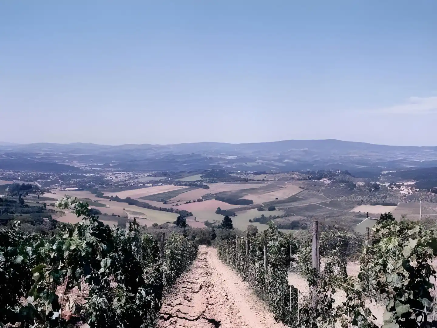 Villa San Giorgio Landschaft