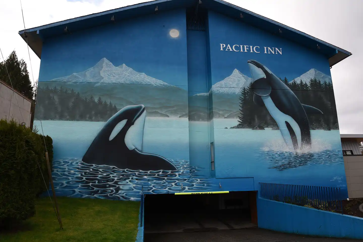 The Pacific Inn Tiere