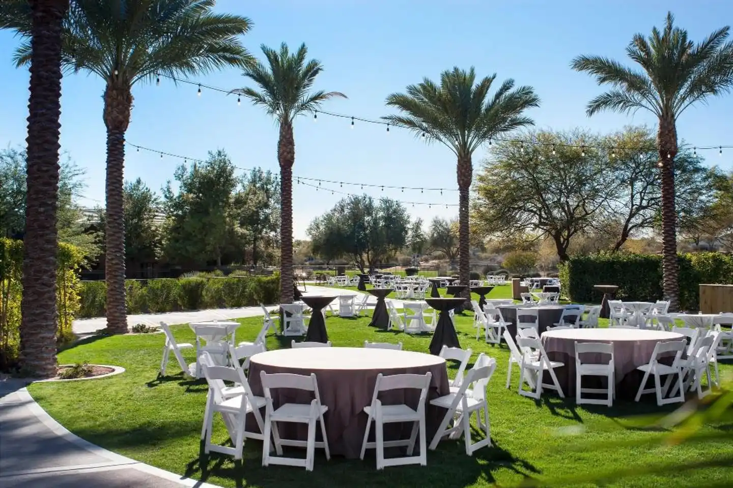 The Westin Kierland Resort & Spa Garten