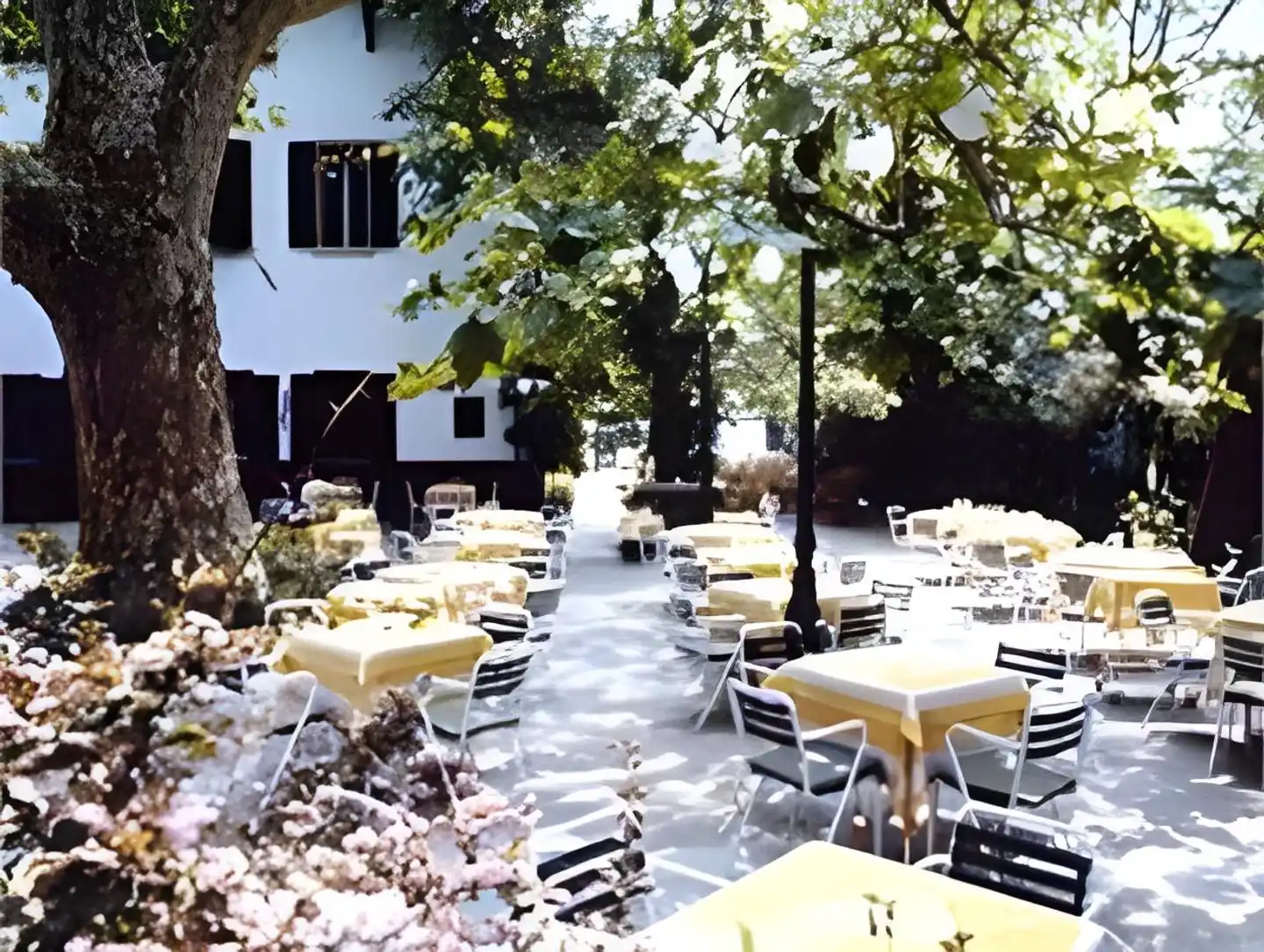 Residenza d'Epoca Albergo Quattro Fontane Terrasse