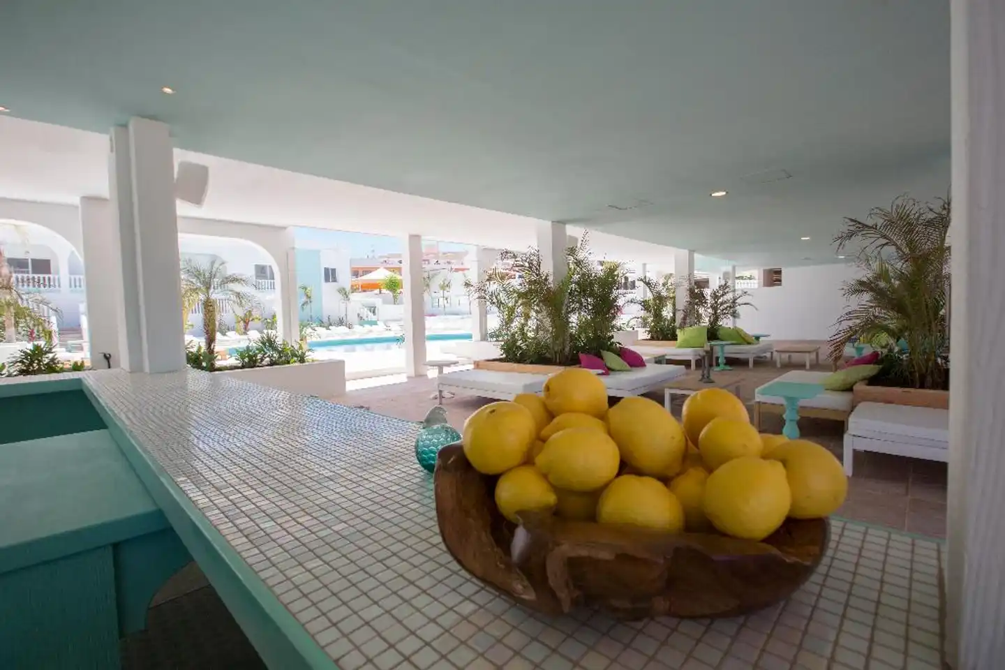 Beach Star Ibiza Affiliated by Senator Lobby