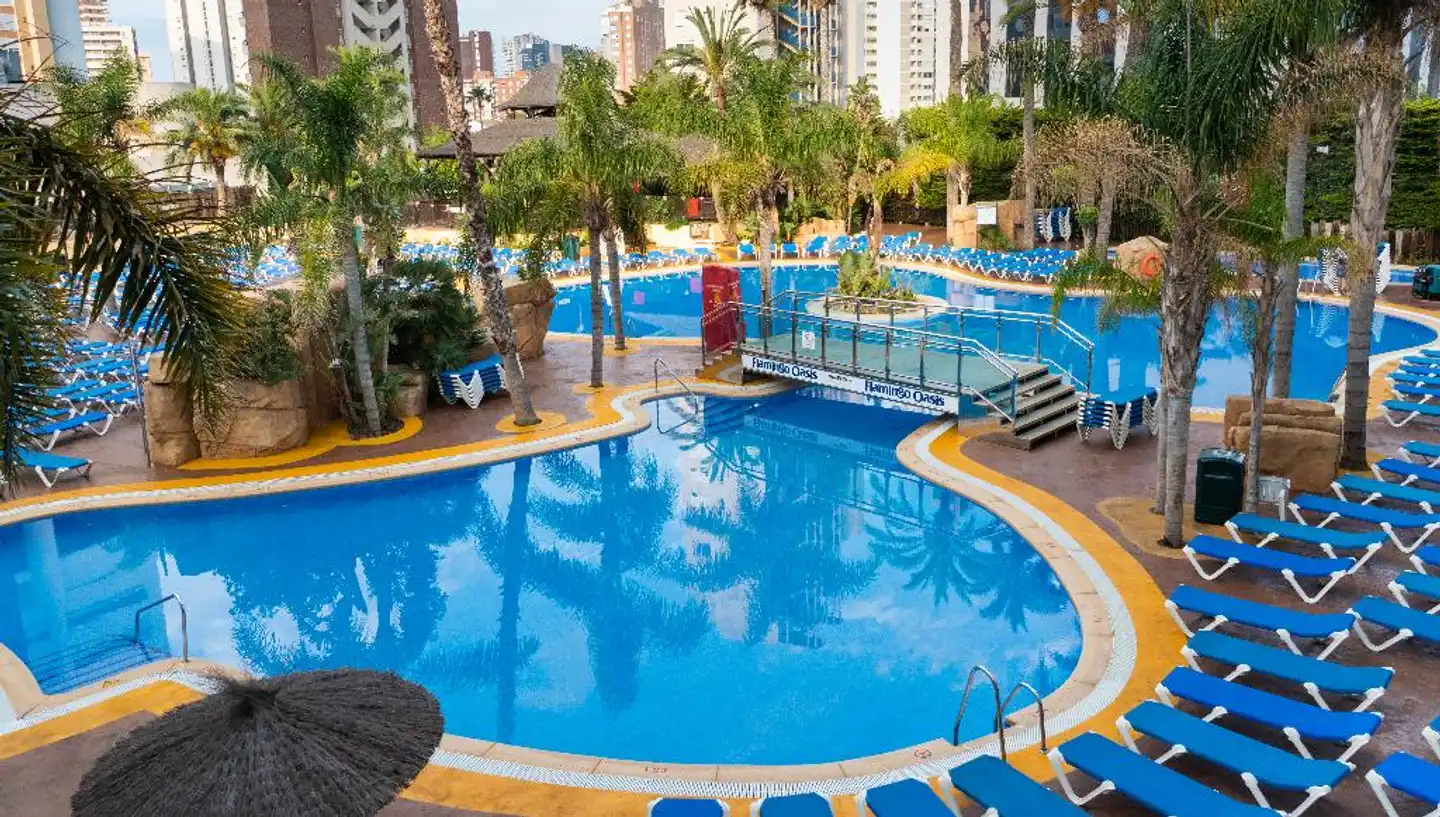 Flamingo Oasis Pool