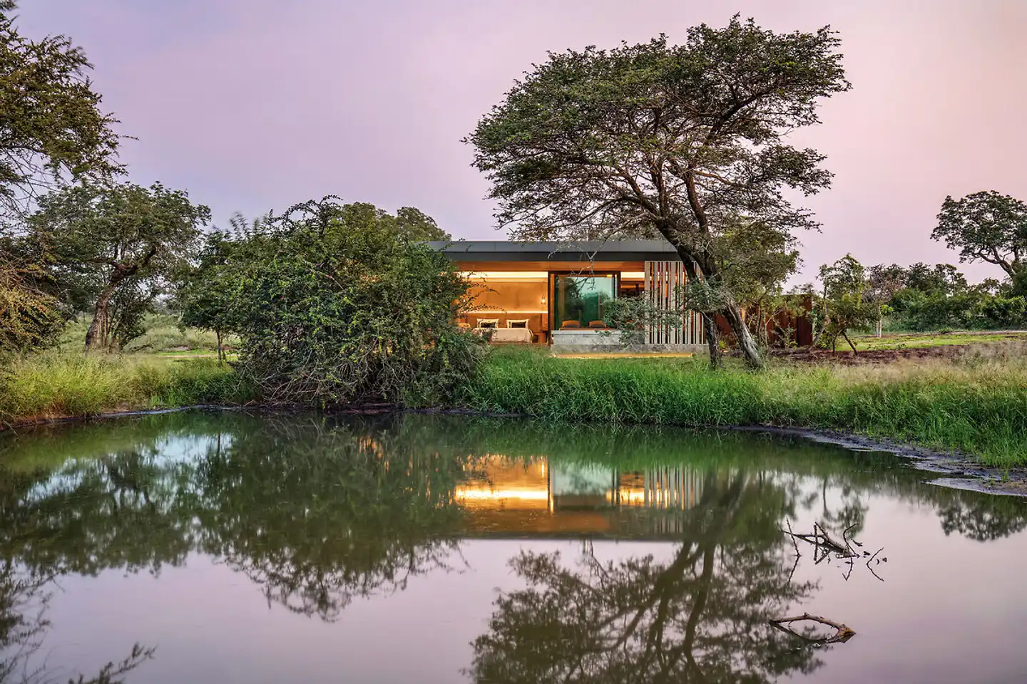 Cheetah Plains Pool
