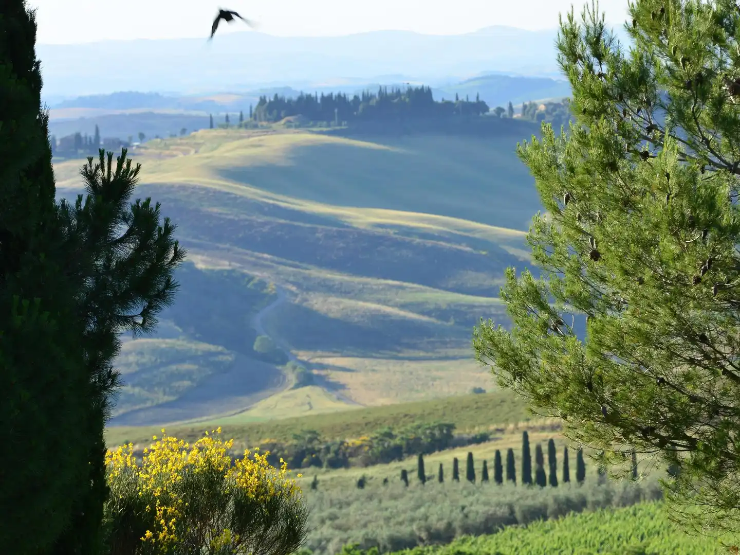 Palazzuolo Landschaft