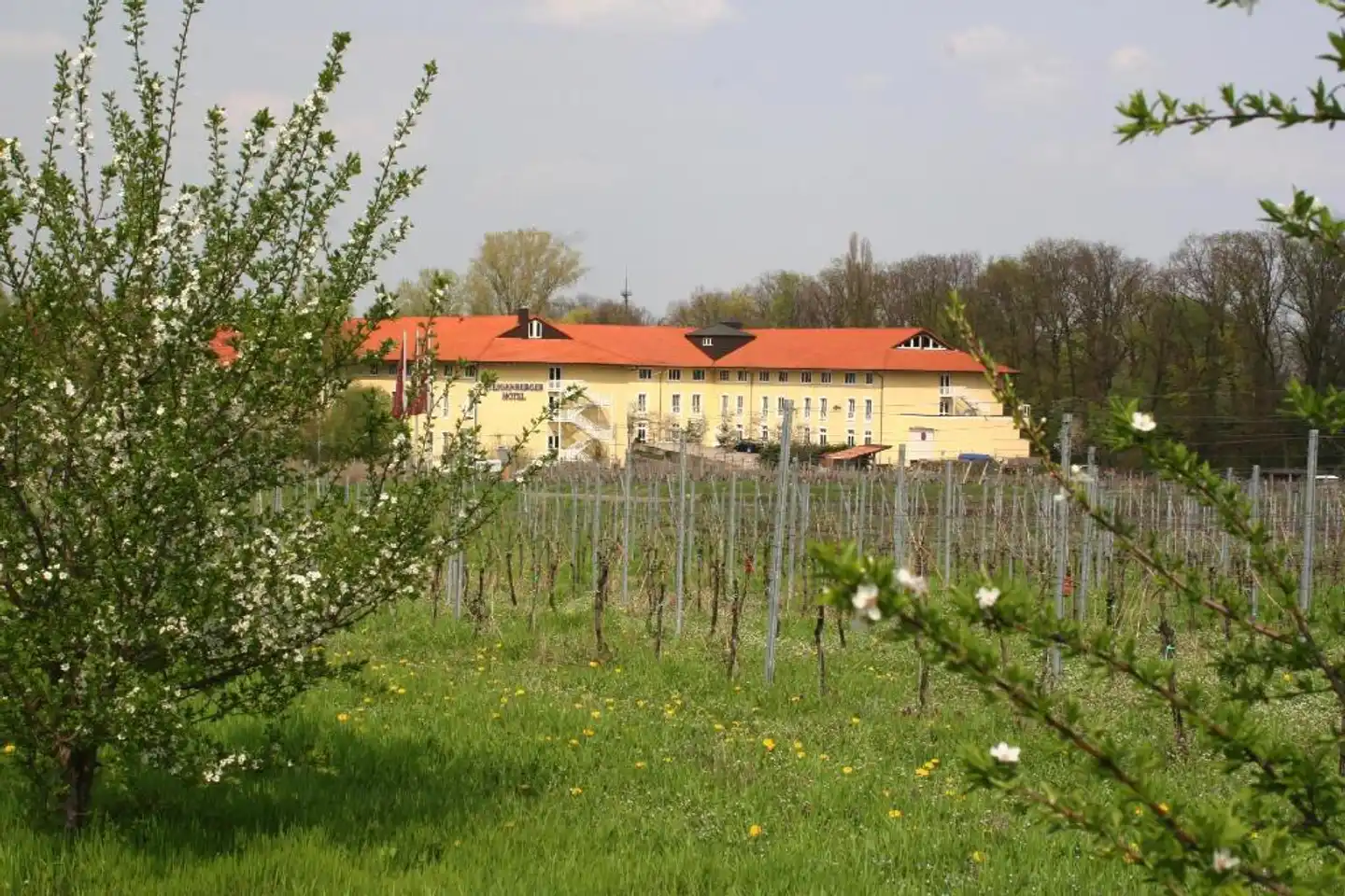 MAXX by Steigenberger Deidesheim Garten