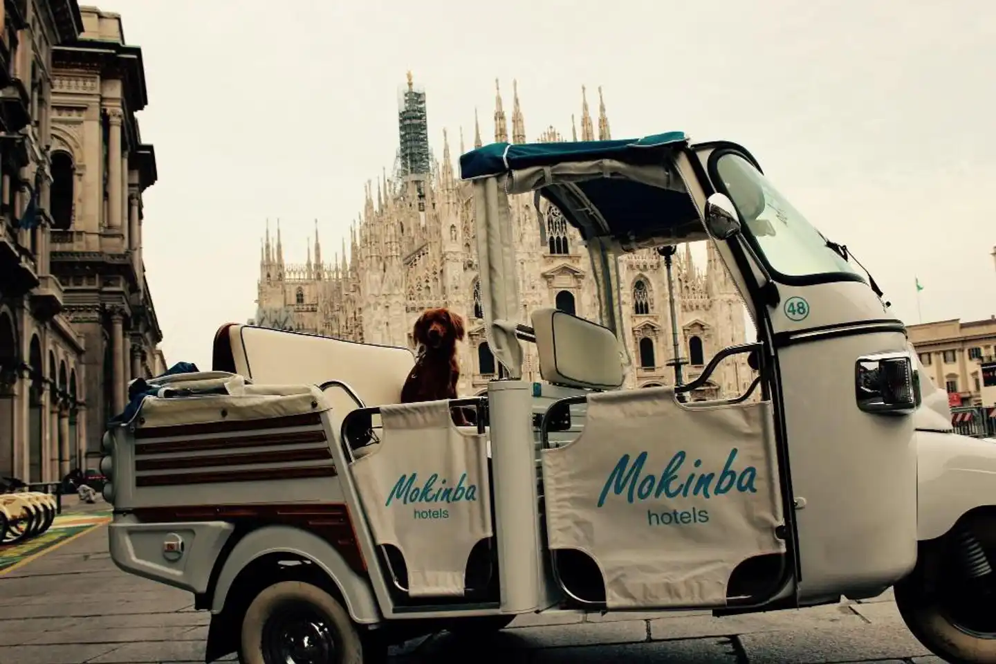 Mokinba Hotels Baviera Sport und Entertainment