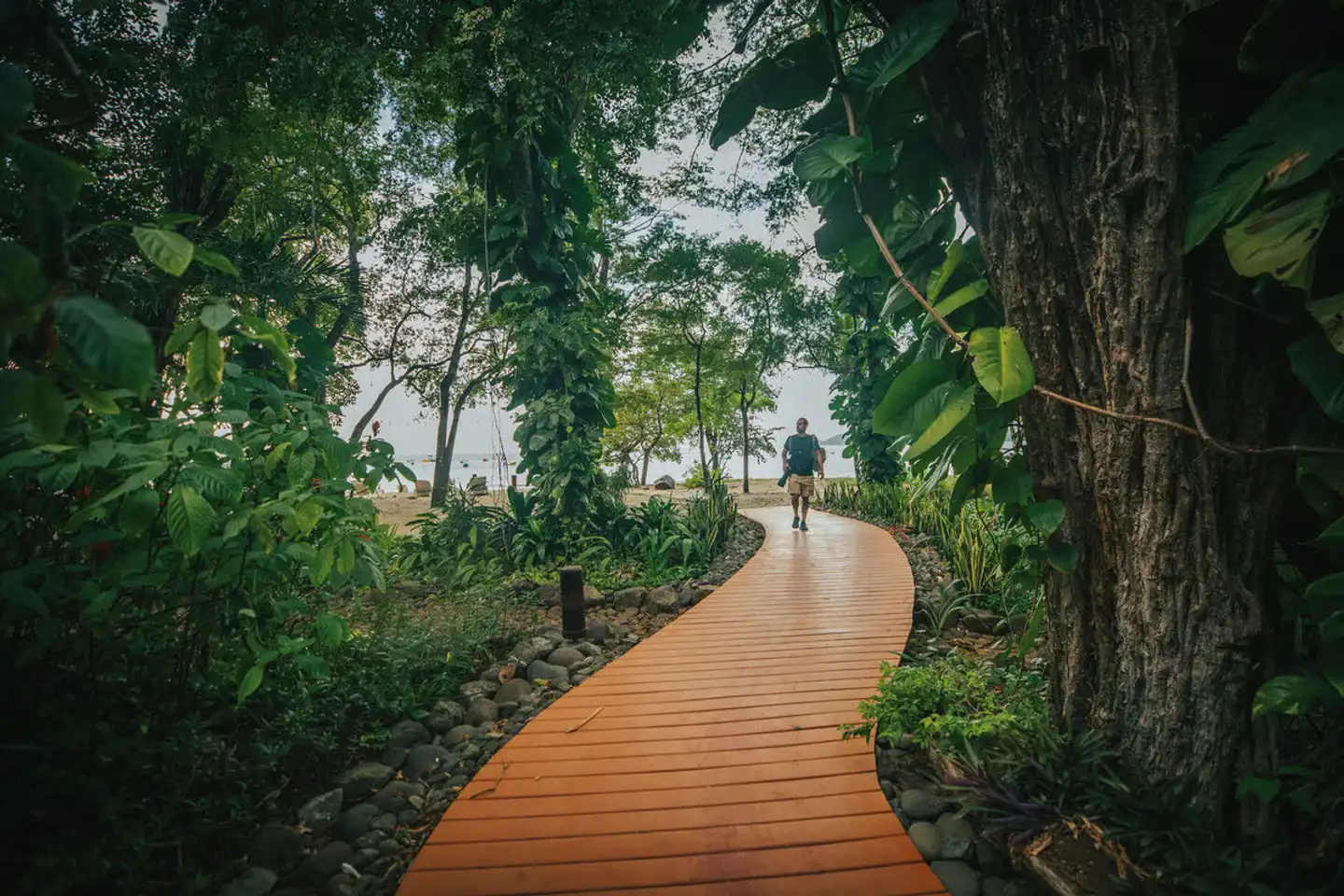 Bosque del Mar Landschaft