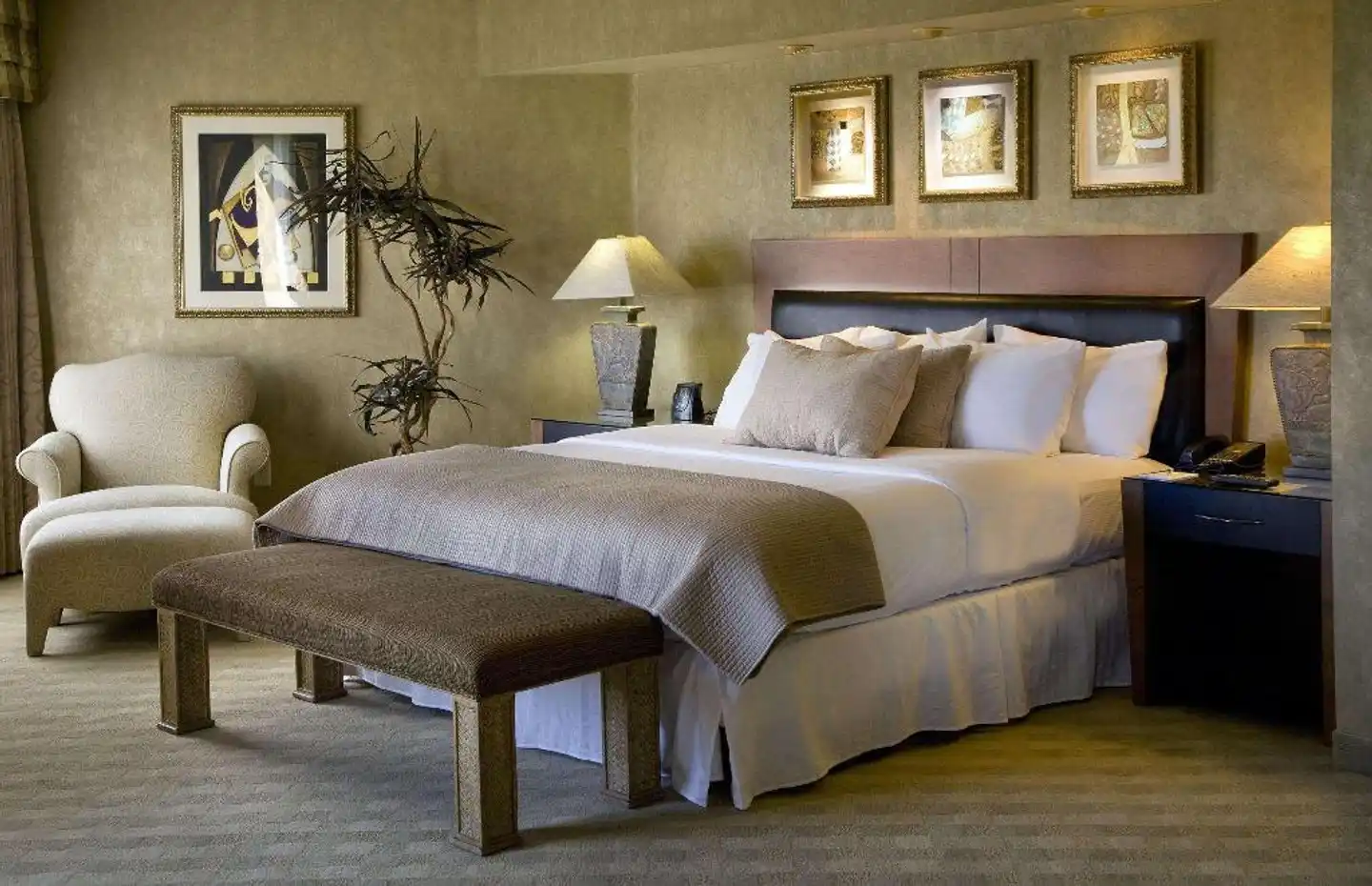 Embassy Suites by Hilton Phoenix - Scottsdale Wohnbeispiel