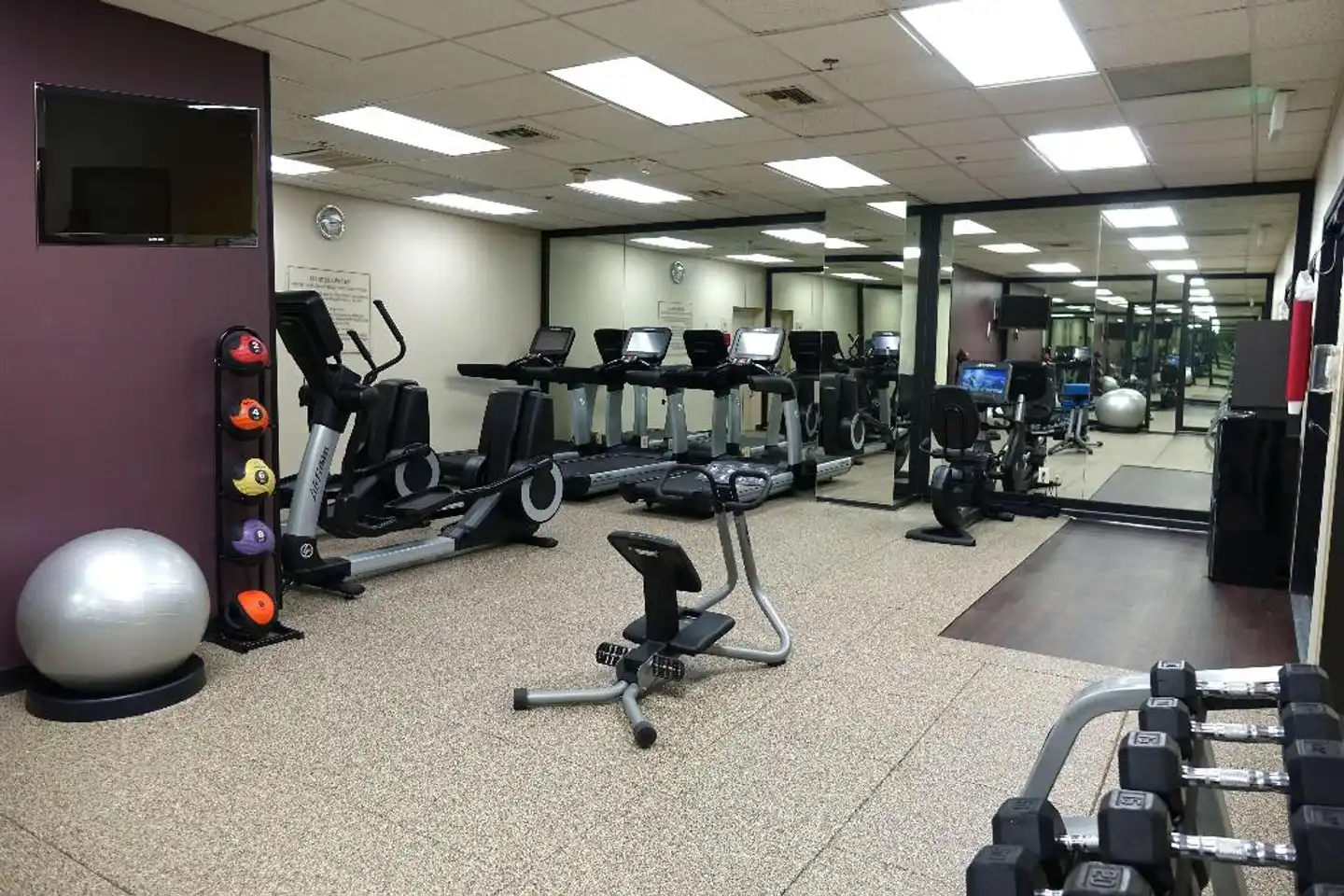 Embassy Suites by Hilton Los Angeles International Airport North Sport und Entertainment