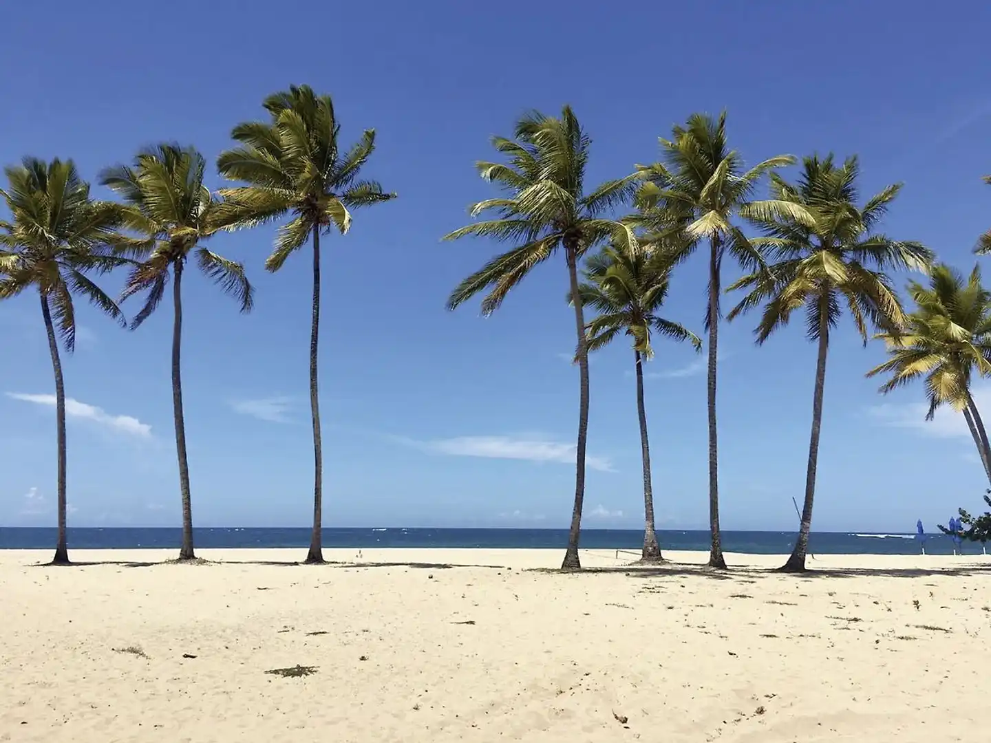 Emotions by Hodelpa Puerto Plata Strand