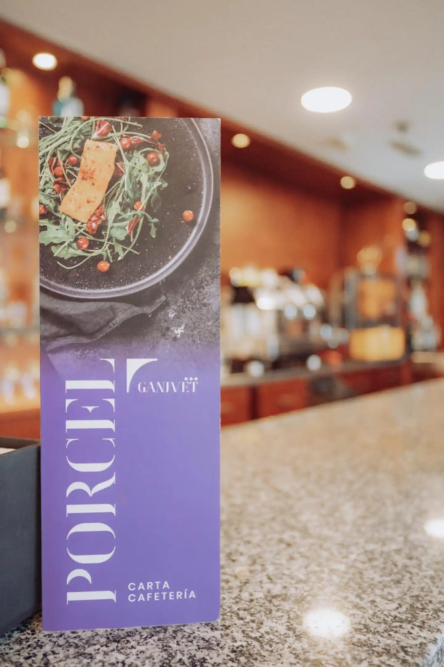 Hotel Ganivet Bar