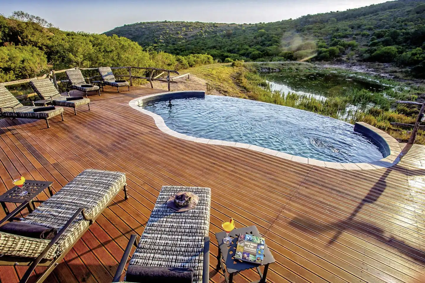 Lalibela Private Game Reserve Pool