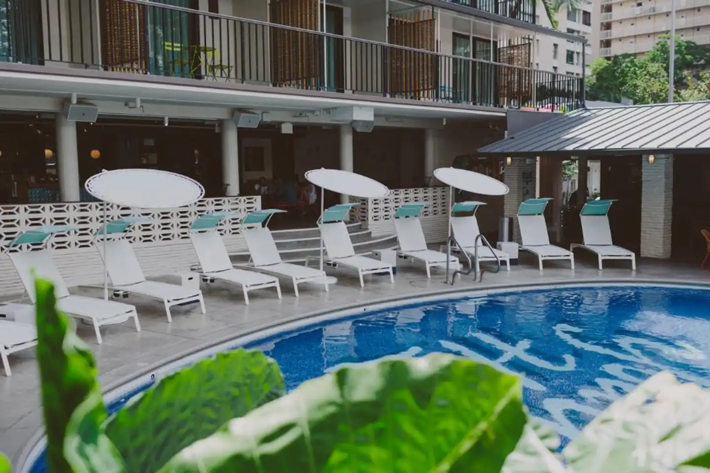 Surfjack Hotel & Swim Club Pool