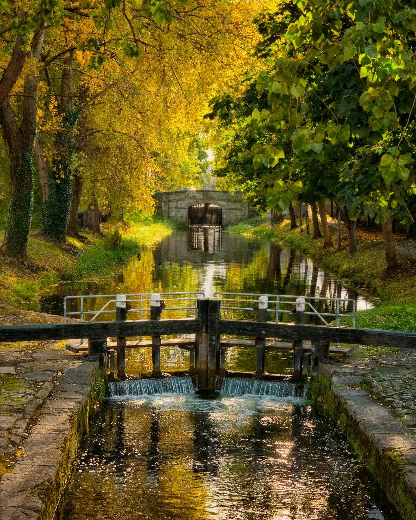 Grand Canal Landschaft